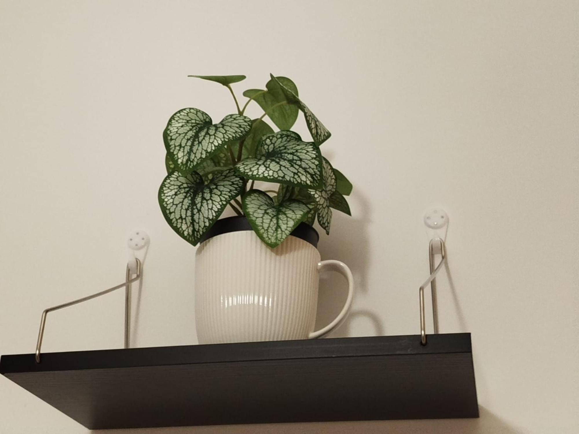 Apartamento Mami *